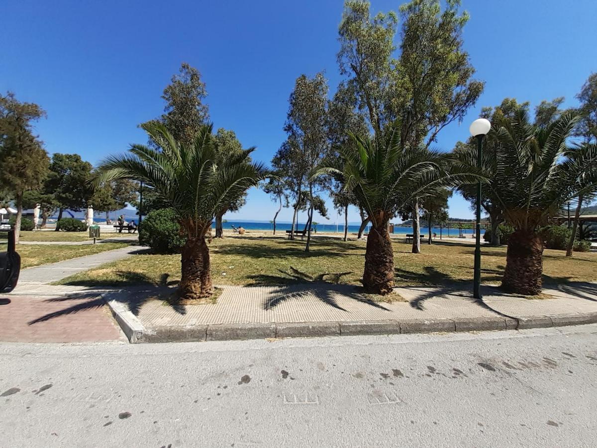 Villa Malena Alykes Beach Wolos Zewnętrze zdjęcie