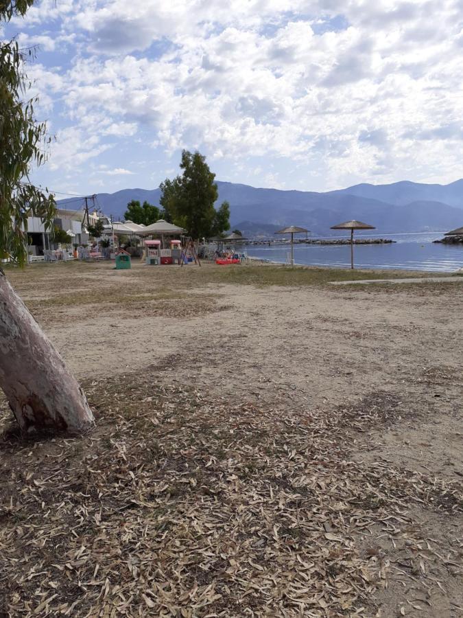 Villa Malena Alykes Beach Wolos Zewnętrze zdjęcie